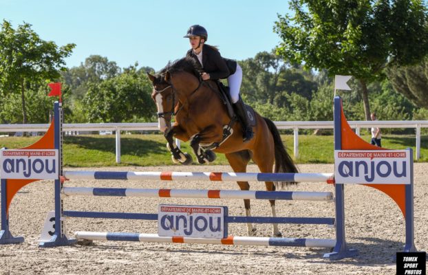 CSO SHF jeunes poneys, préparatoires et amateurs