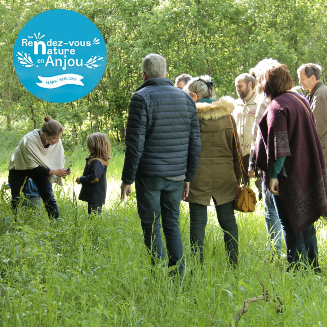 Dernier rendez-vous Nature en Anjou