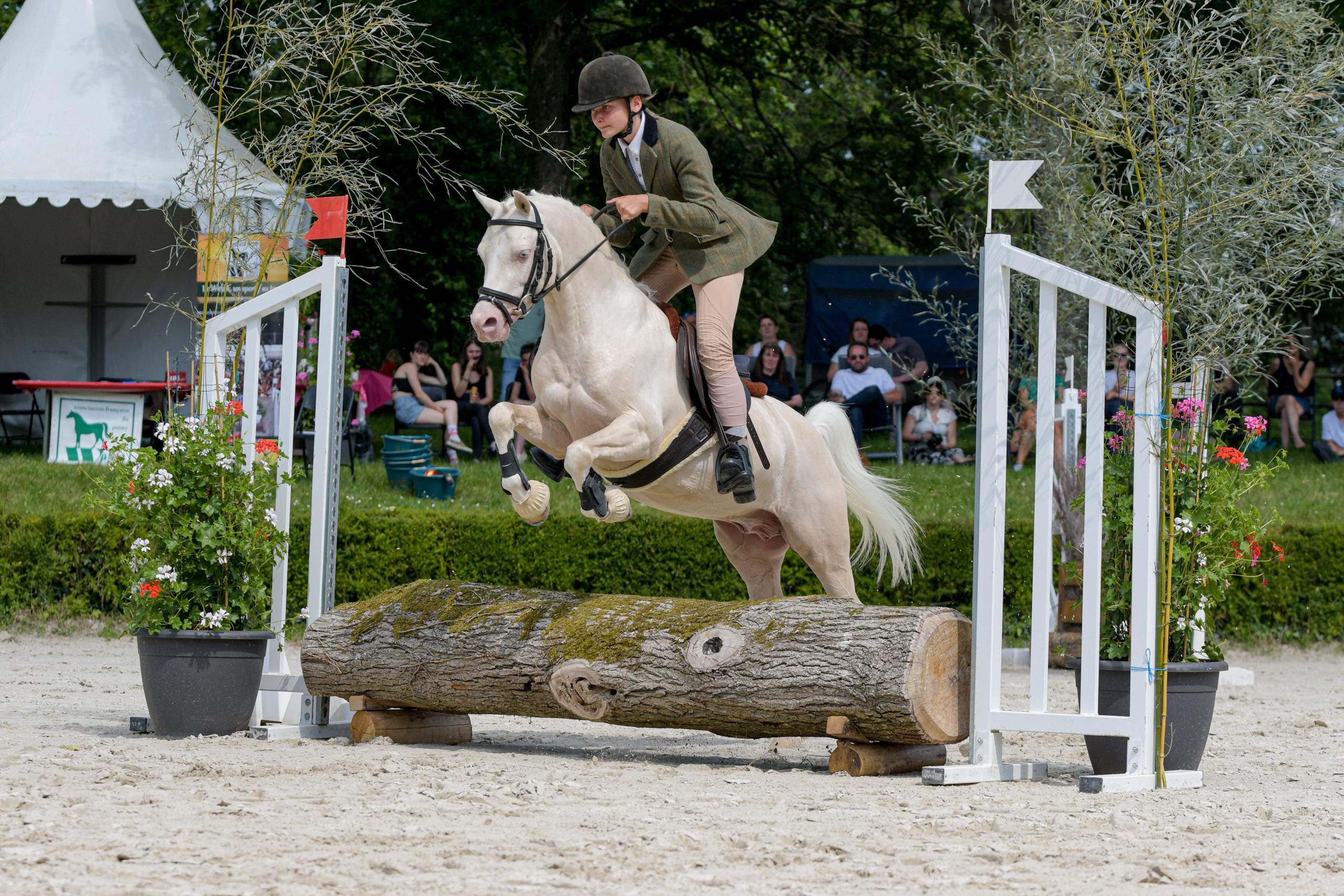 Spring Welsh Show