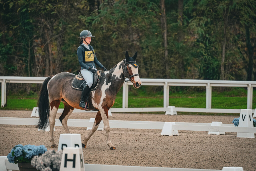 Cavalière durant le concours complet de novembre 2024 au Parc de l'Isle Briand