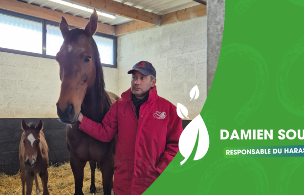 Interview de Damien Souchet, responsable du Haras du Lion