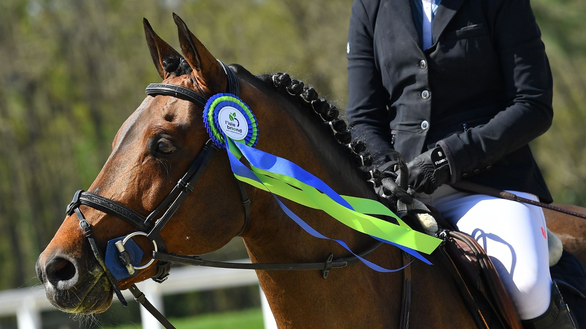 Une année partagée à l’Isle Briand