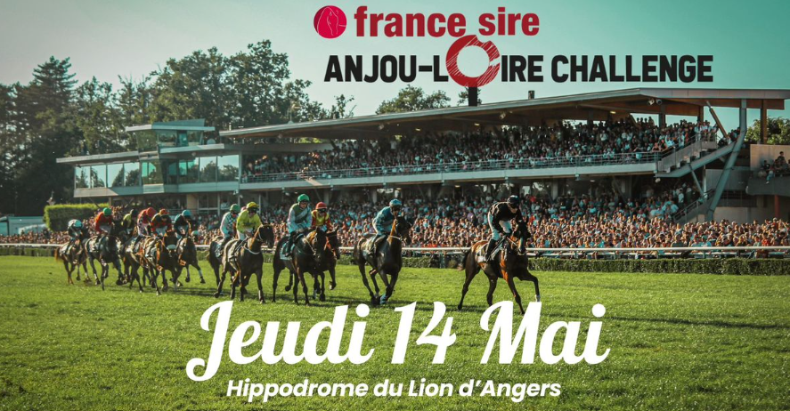 France Sire Anjou-Loire Challenge 2026 : Le programme de votre journée de l’Ascension au Lion d’Angers !