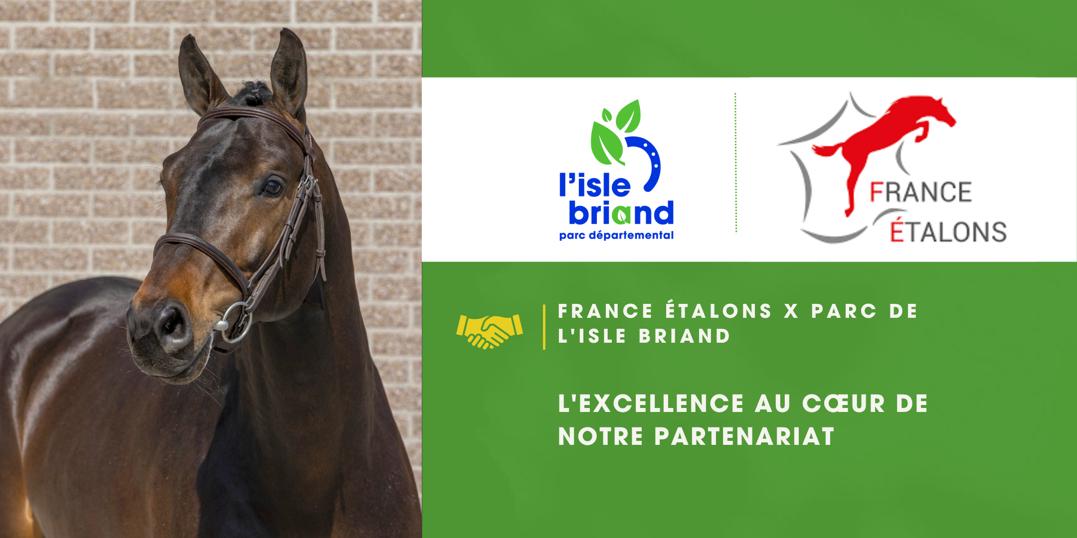 France Étalons x Parc de l’Isle Briand : l’excellence mondiale au cœur de notre partenariat